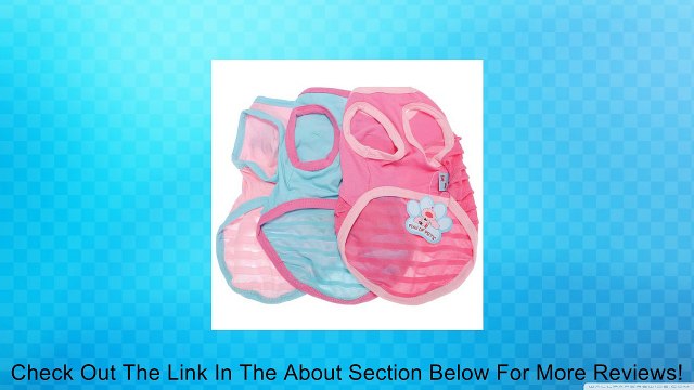 LuckyStore Princess Pleated Puppy Cat Pet Dog Summer Clothes Vest Shirt Dress Blue M Review