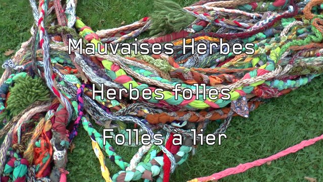 Maison des Arts : Mauvaises herbes, herbes folles, folles à lier