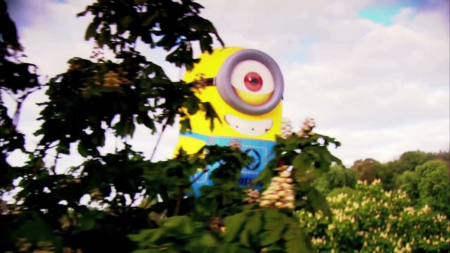 Despicable Me 2 - Stuart The Minion Goes on Tour