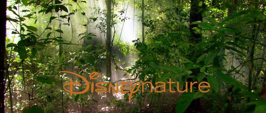 Disneynature's Bears - TV Spot