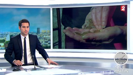 Des Anglais découvrent un petit trésor dans le Lot-et-Garonne