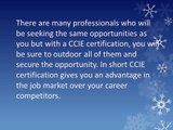 Advantages of Pursuing CCIE Training and Certification Program