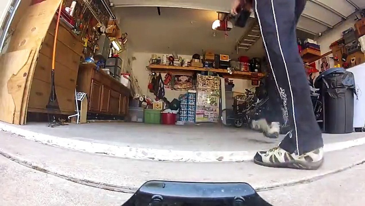 Bulldog Chases Remote Control Car