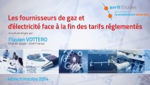 Xerfi France, Les fournisseurs de gaz et d'électricité face à la fin des tarifs réglementés