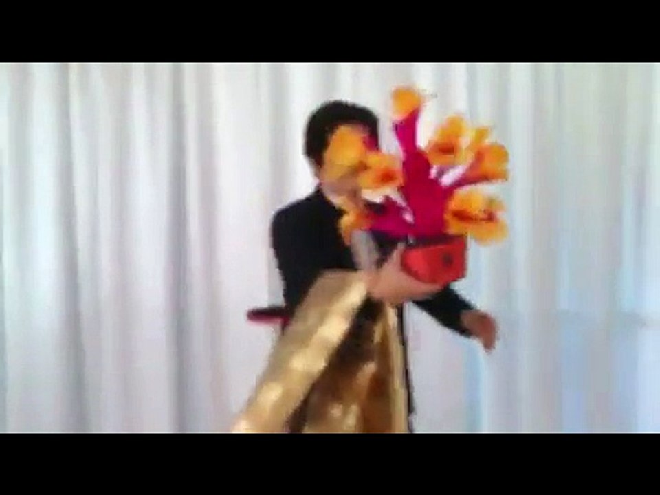 VANISHING VASE AND BOUQUET by DR. GERTES