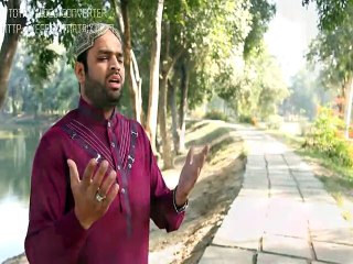 (YA SHAH-E- AMBIYA KARAM FARMAYE) SHAHZAD QAMER FAREEDI 2014 RABIULAWAL ALBUM