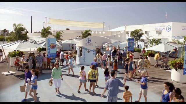 Dolphin Tale 2 - _True Story_ Featurette [HD]