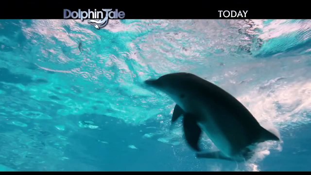 Dolphin Tale TV Spot Now Playing #5