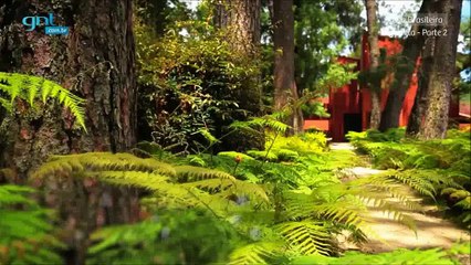 Arquitetura - Parte 3