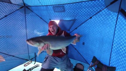 Monster Lake Trout On Clear Ice