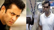 Salman Khan’s Black Buck Poaching Case: Plea To Call Officials As Witnesses Turned Down!