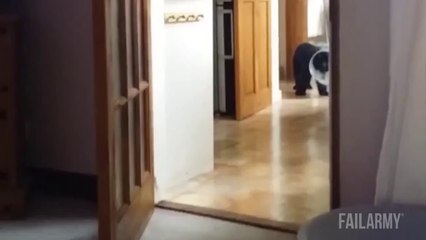 Animais no seu melhor ahahaha           facebook.com/CaM0ca