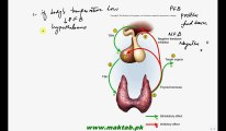 FSc Biology Book2, CH 17, LEC 23, Feed Back Mechanism