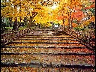 * *    YİNE HAZAN MEVSİMİ GELDİ   * *