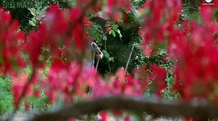 Take_It_Easy_(Theatrical_Trailer)_HD(dailymaza.com)