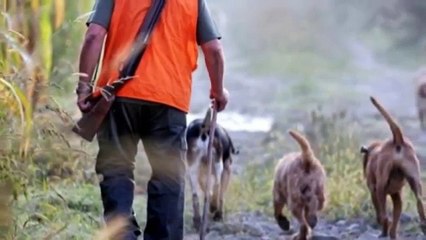 Michel Delpech - Le Chasseur