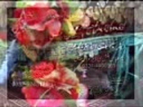 Pashto Nohay-Syed Zakir Abbas Sherazi 05-Da ma Wara Asghara a.s