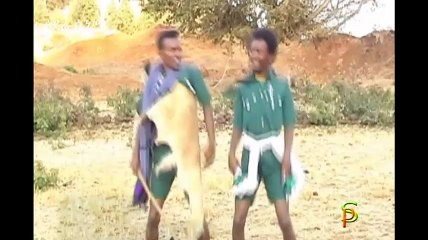 Ethiopian Cultural Music - Begashaw Kassaye - Fikre Teleyehush