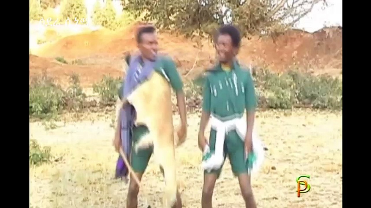 Ethiopian Cultural Music - Begashaw Kassaye - Fikre Teleyehush