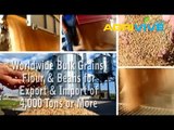 Acquire Bulk Wheat for Importing, Wheat Importers, Wheat Importer, Wheat Imports, Import, Import