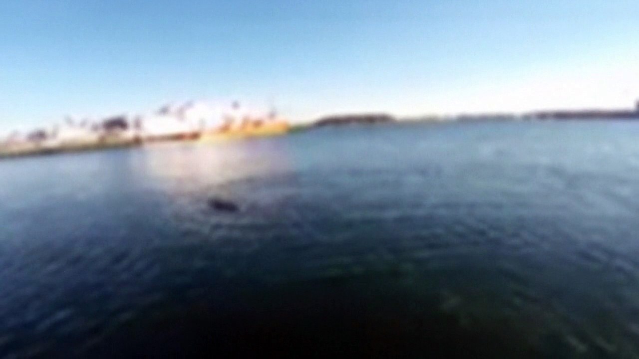 US Navy unveils new robotic fish for underwater surveillance