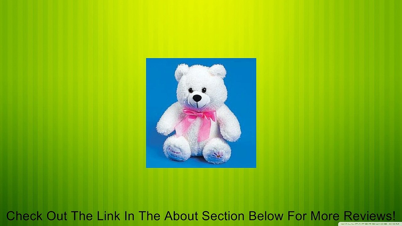 Plush Flower Girl Bear Review