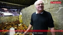 Plouégat-Guérand (29). Les volailles festives de la ferme de Saint-laurent