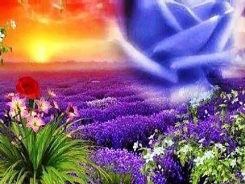 Adagio Jean-Claude Borelly