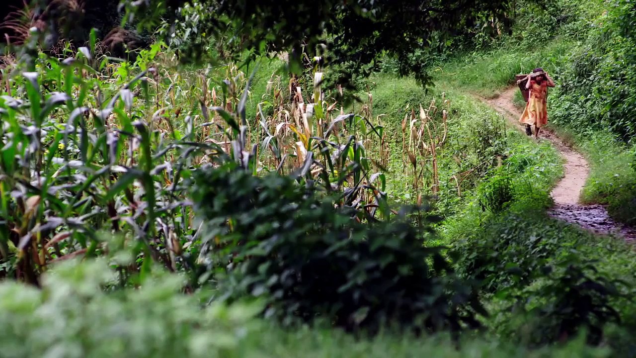 Millions of Girls Face Barriers to Getting an Education. How Can We Help?