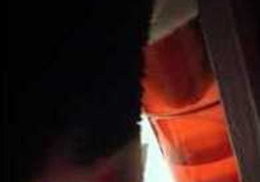 Cat Tries to Drink Owner's Water