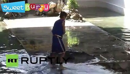 Are you dare enough to put your arm or face in crocodile mouth?