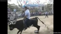 Jaripeo Extremo Toros Los Constructores De La Ganaderia De Juliantla Valientes Jinetes Montando Salvajes Bestias En Guerrero Dic 2014