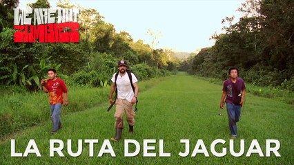 La Ruta del Jaguar | Nature Calls