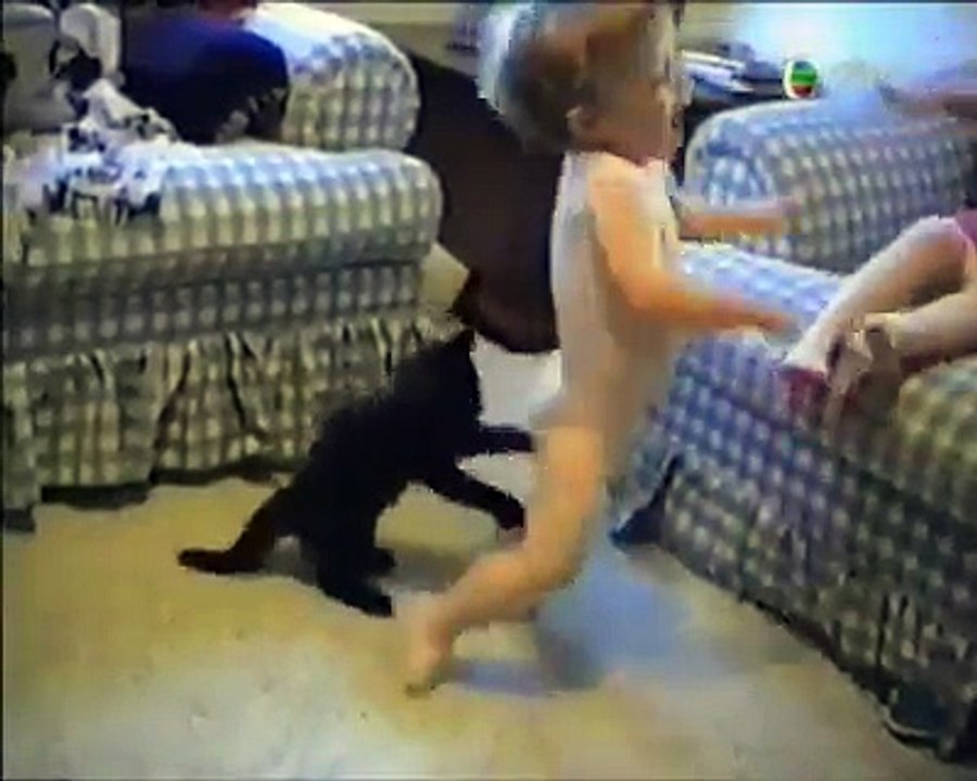 Bad LUck Must Watch