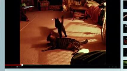 Uma Noite no Museu 3: O Segredo da Tumba - Trailer