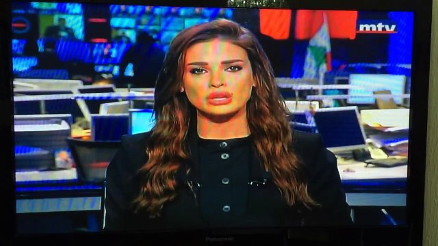 مفتي البقاع الغربي الشيخ محمد المصري لبنان ونجله رضا المصري لبنان