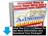 Adsense Secrets Review + Joel Comm Adsense Secrets 5