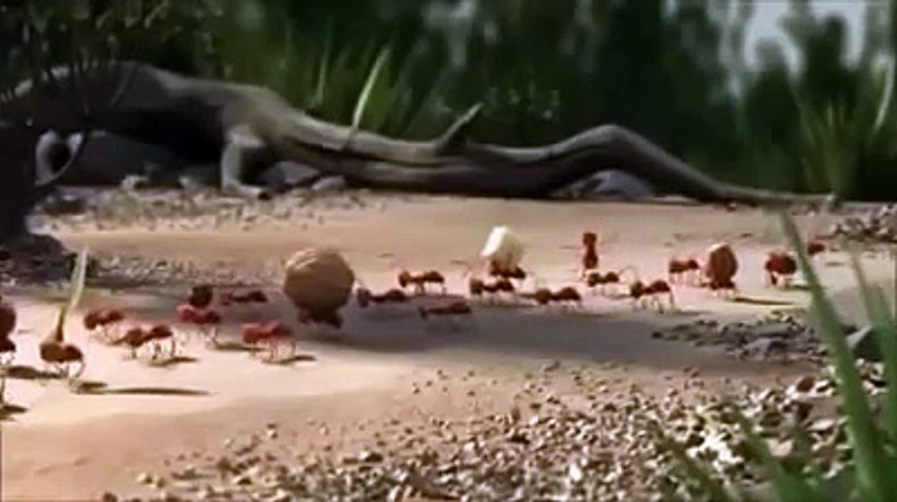 Amazing-Video-about-Unity-Must-Watch