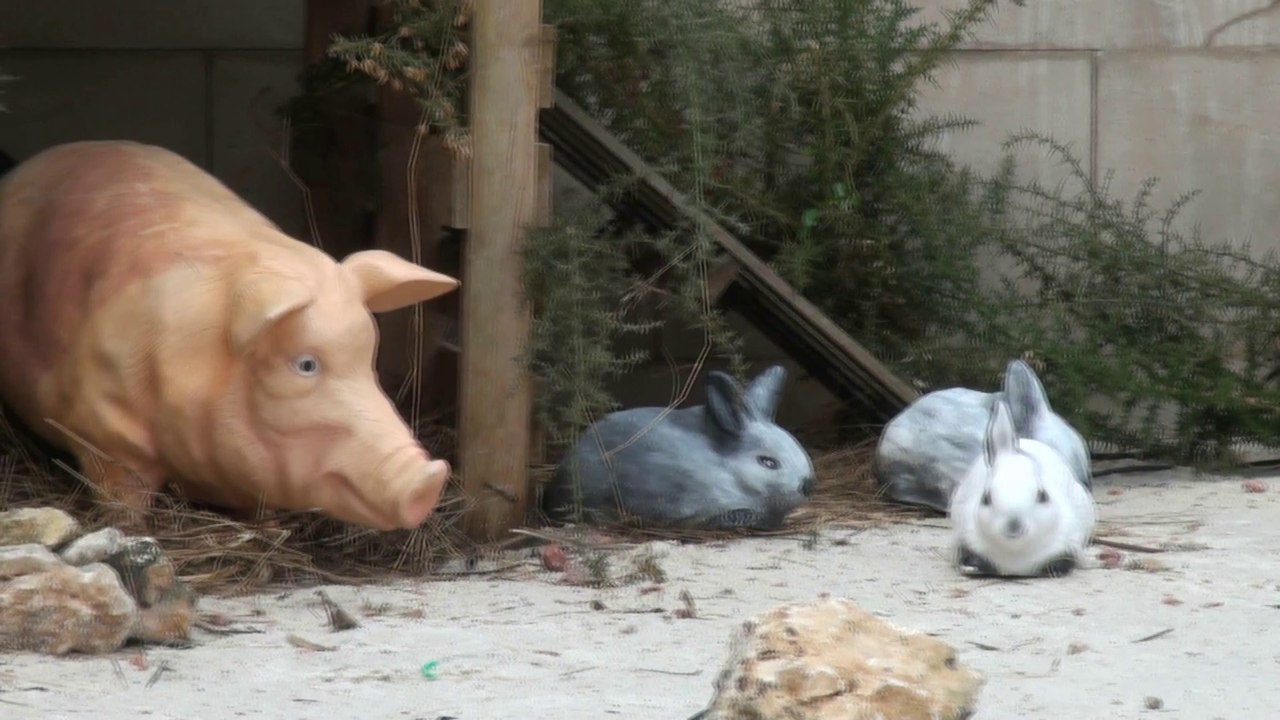 El impresionante Belén marinero de Luanco, Asturias