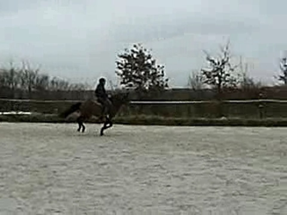 CIMG0787
