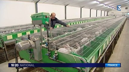 Pacte d'avenir : le bilan est mitigé en Bretagne