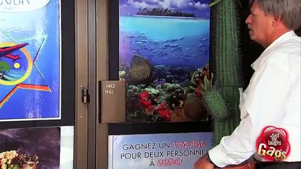 BOOM! CACTUS IN THE FACE BY studio 2 New Funny videos