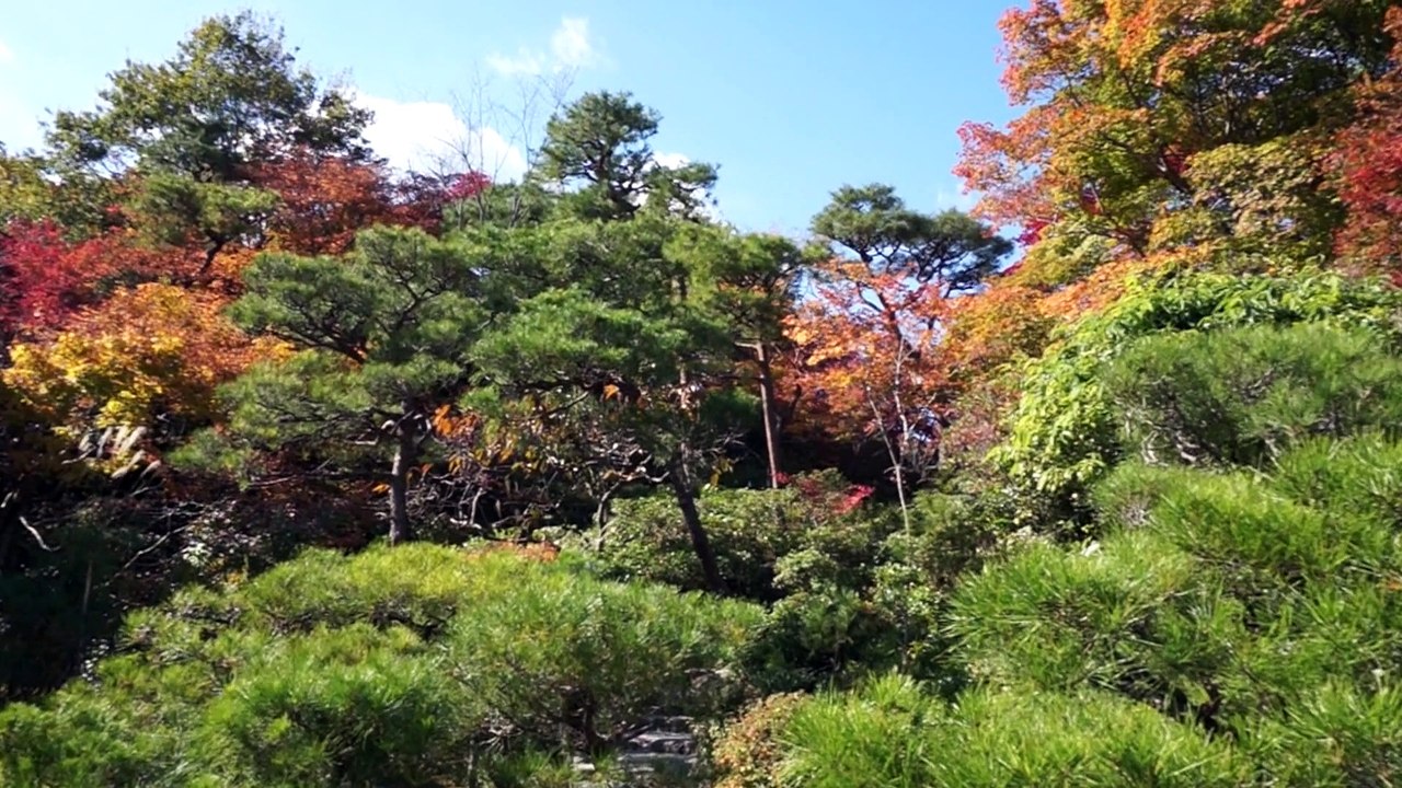 Au bout du schtroumpf 12 - Japan