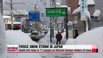 Death toll from Japan snowstorm rises to 11