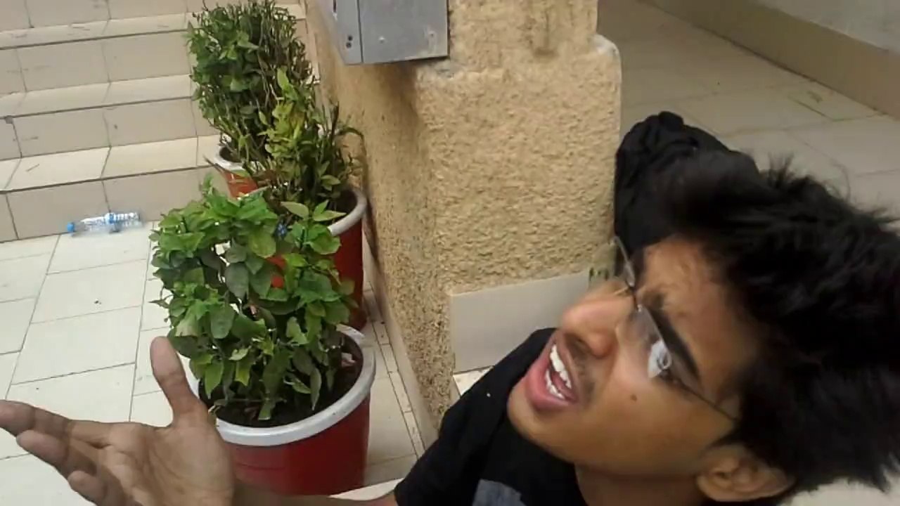 Bekaar Vines - Right in the FACE!