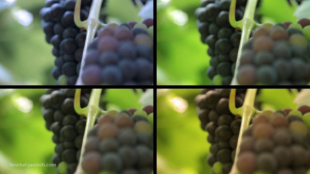 The-ultimate-Introduction-to-DSLR-Filmmaking--Basic-Tutorial