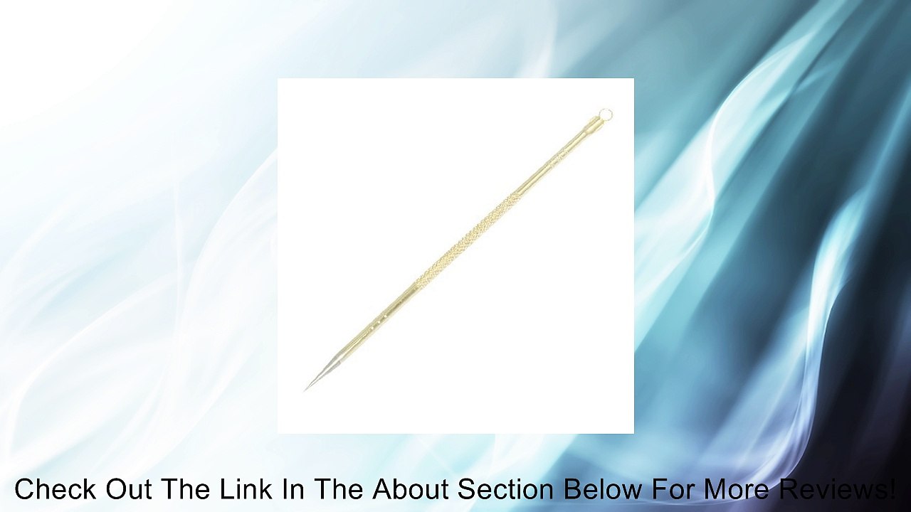 5" Long Gold Tone Metal Blackhead Pimple Acne Remover Needle Review