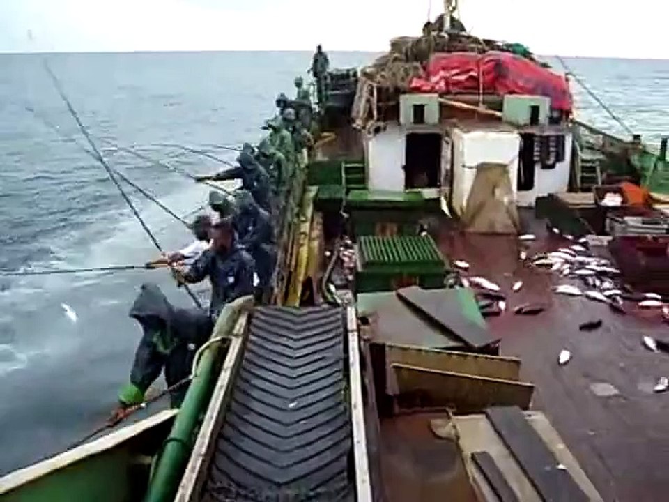 La pêche la plus rapide