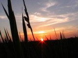 Sinjhoro Anees Laghari (This Sunset Recorded By Me During Making Of Tulip Story )