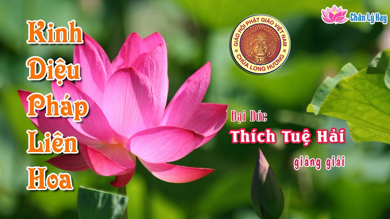 Kinh Diệu Pháp Liên Hoa (06) - Đại Đức Thích Tuệ Hải